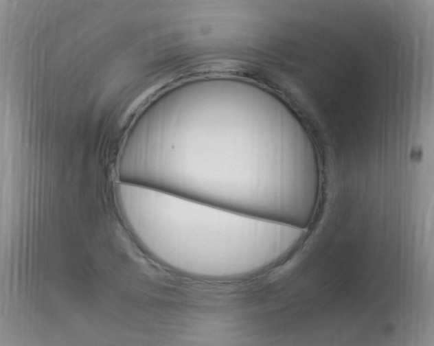 X0000113951073200909250957