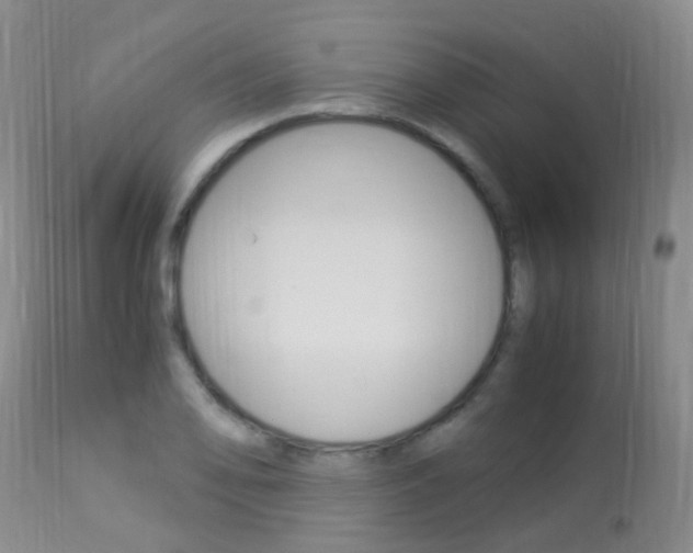 X0000113951078200909250957
