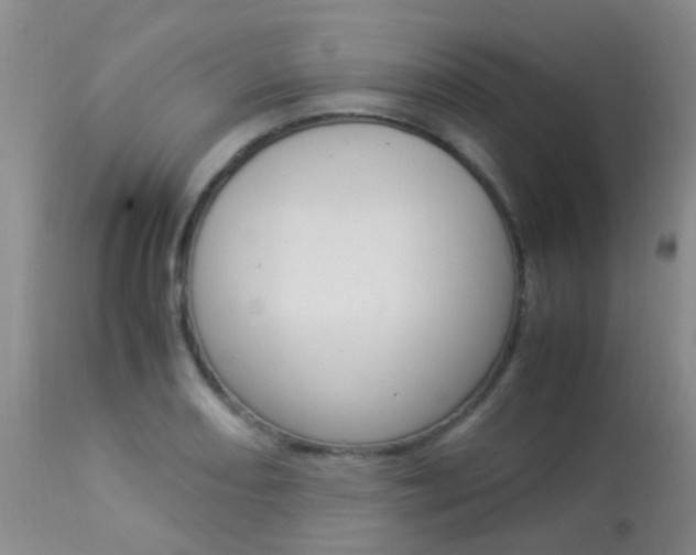 X0000113951082200909250957