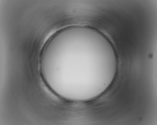 X0000113951083200909250957