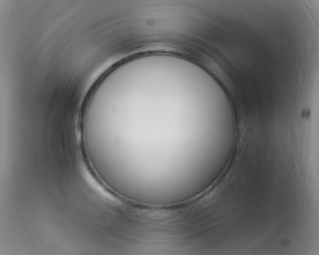 X0000113951084200909250957