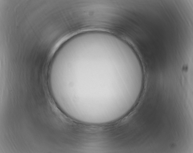 X0000113951085200909250957