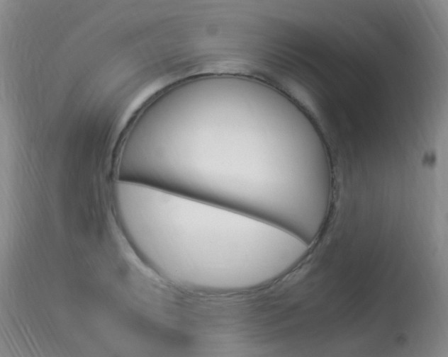 X0000113951087200909250957