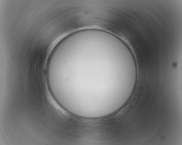 X0000113951088200909250957
