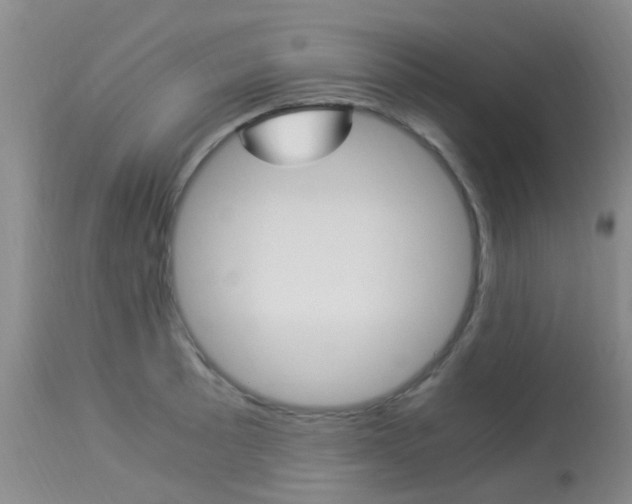 X0000113951089200909250957
