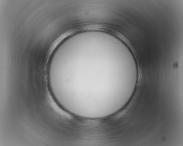 X0000113951090200909250957