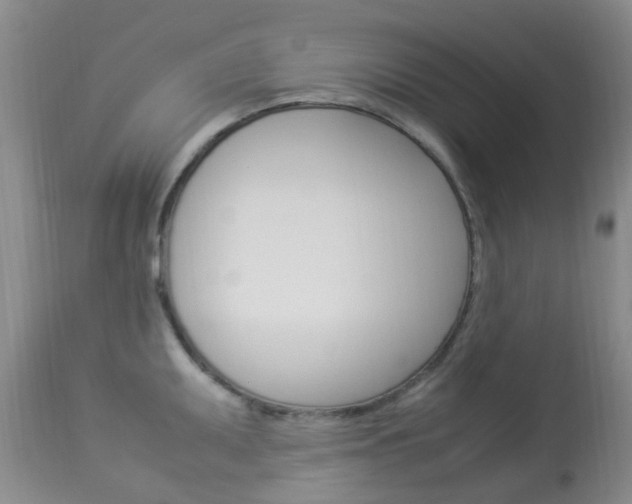 X0000113951095200909250957