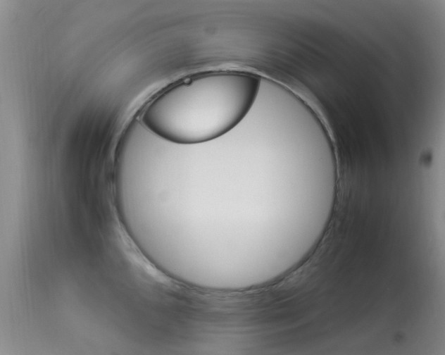 X0000113951096200909250957