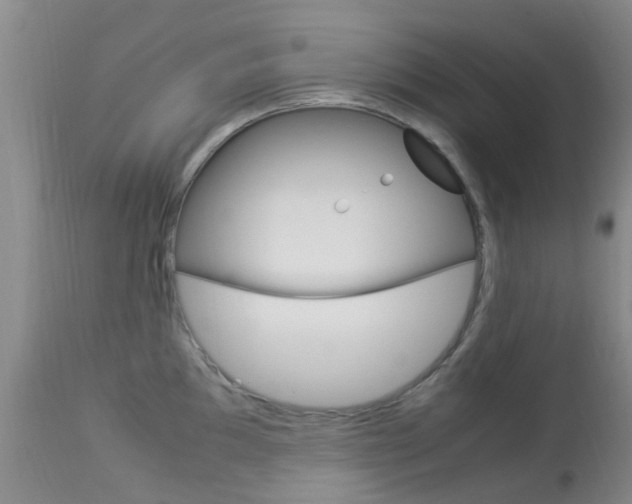 X0000113951097200909250957