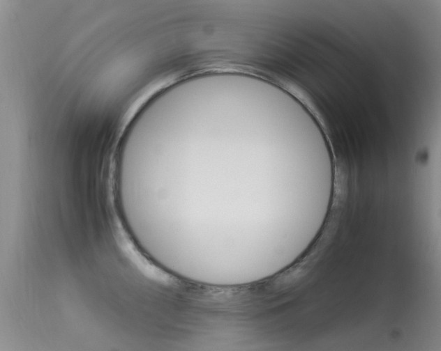 X0000113951098200909250957