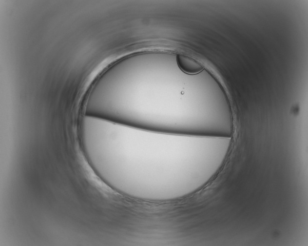 X0000113951099200909250957