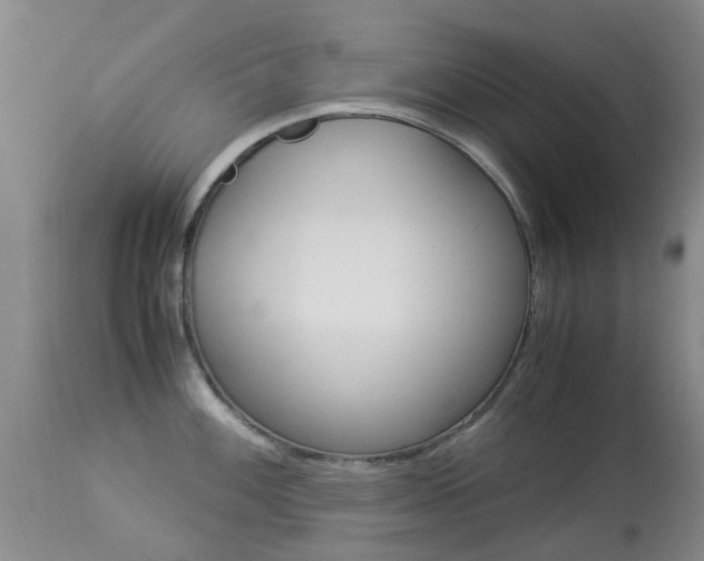 X0000113951100200909250957