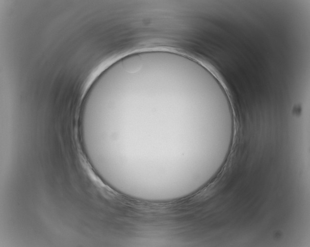 X0000113951101200909250957