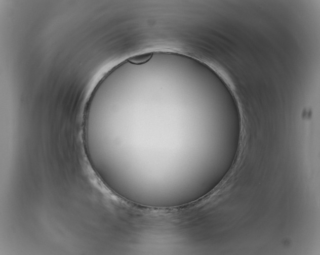 X0000113951104200909250957