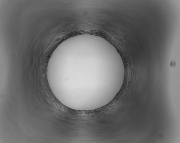 X0000113951105200909250956