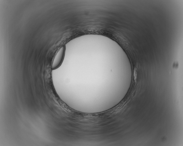 X0000113951107200909250956