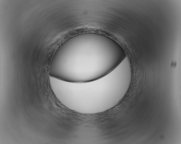 X0000113951110200909250956