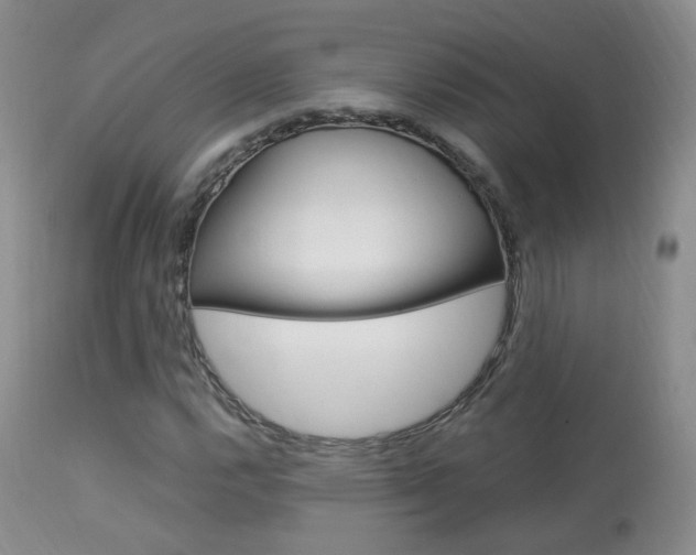 X0000113951112200909250956