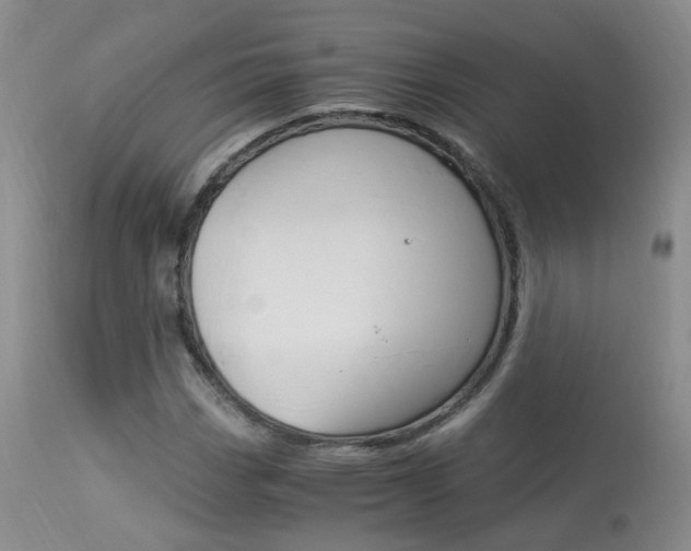 X0000113951113200909250956