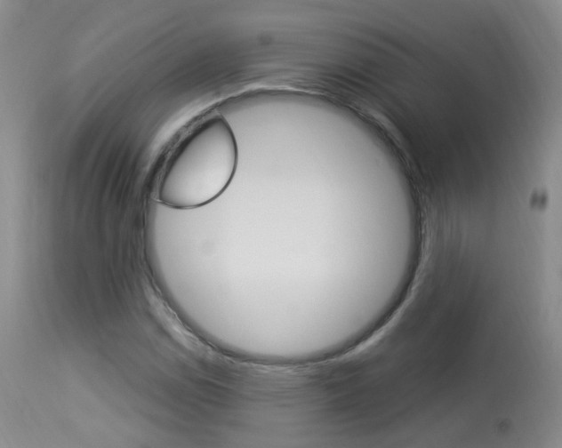 X0000113951114200909250956
