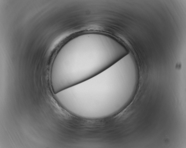 X0000113951115200909250956