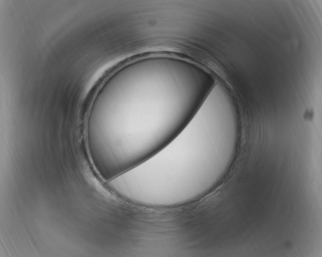 X0000113951116200909250956