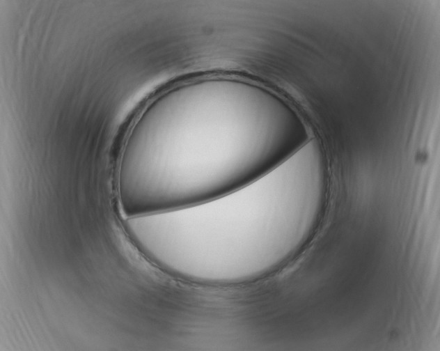 X0000113951118200909250956