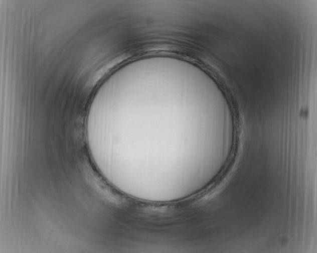 X0000113951121200909250956