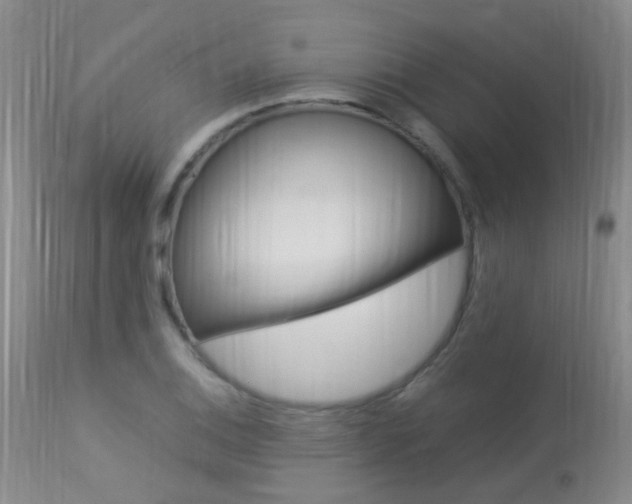 X0000113951124200909250956