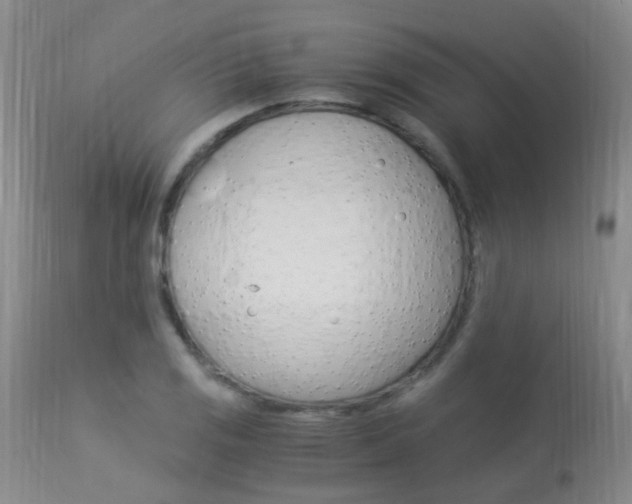 X0000113951125200909250956