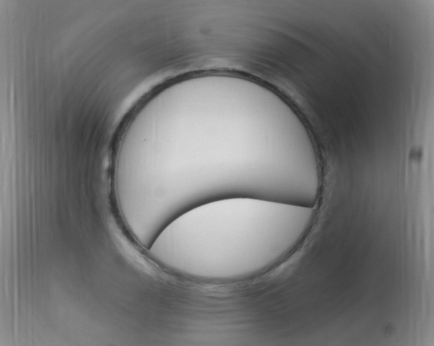 X0000113951126200909250956