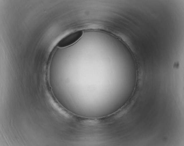 X0000113951134200909250956