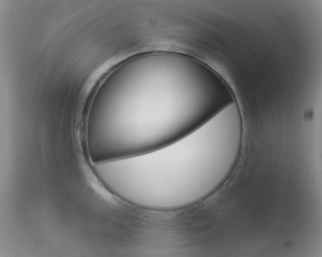 X0000113951136200909250956