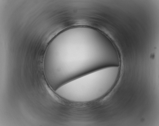 X0000113951137200909250956