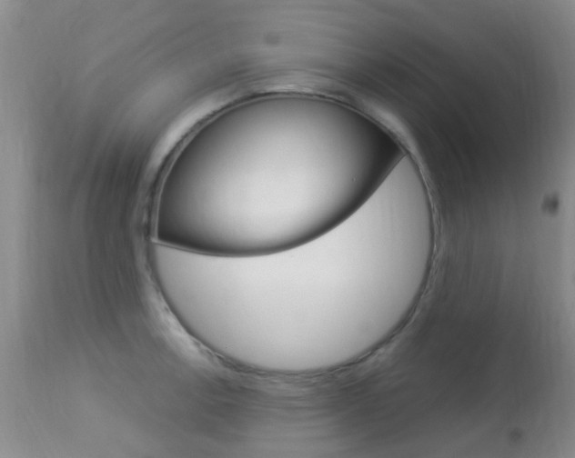 X0000113951138200909250957
