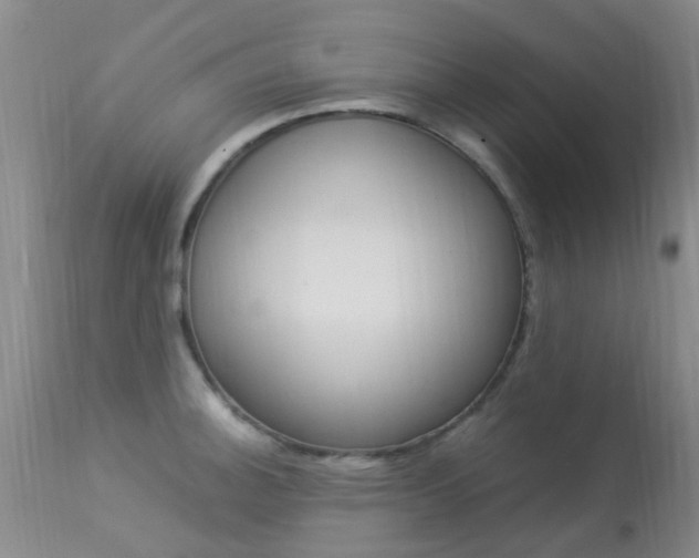 X0000113951140200909250957
