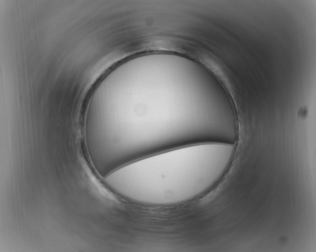 X0000113951141200909250957