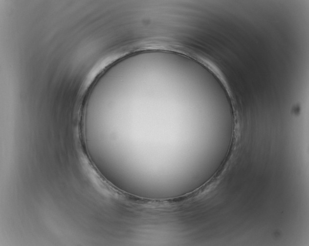 X0000113951146200909250957