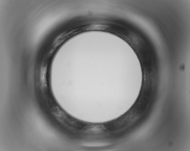 X0000113951150200909250957