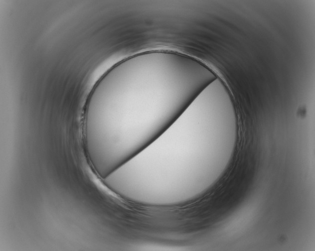X0000113951151200909250957