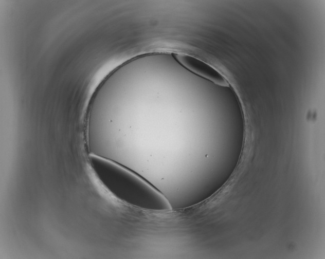 X0000113951152200909250957