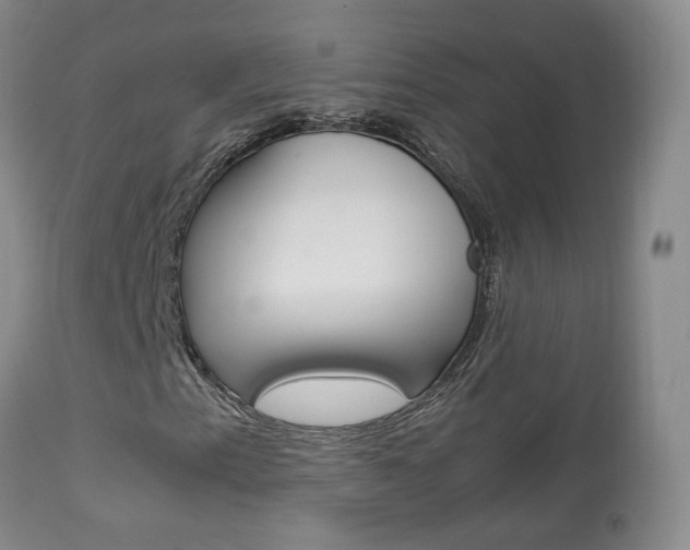 X0000113951153200909250956