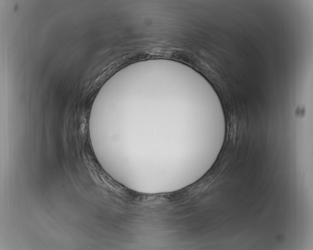 X0000113951154200909250956