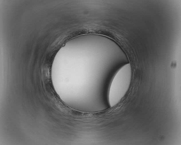 X0000113951155200909250956
