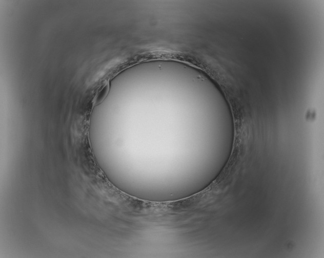 X0000113951157200909250956