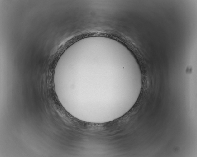 X0000113951158200909250956