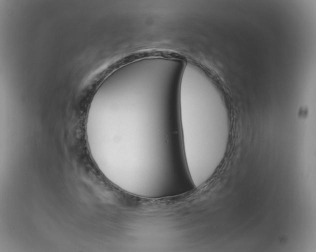 X0000113951159200909250956