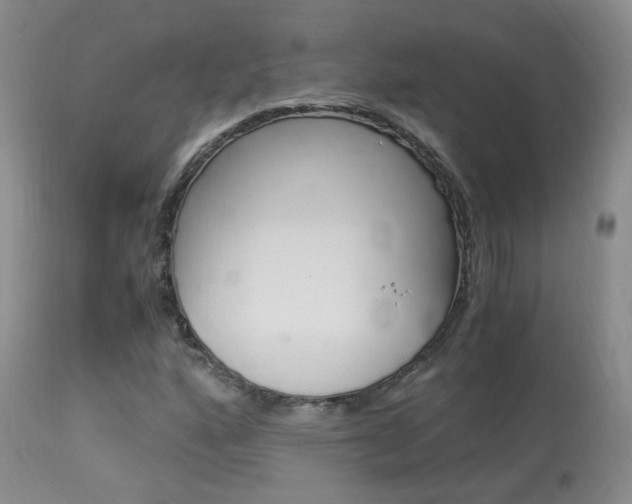 X0000113951160200909250956
