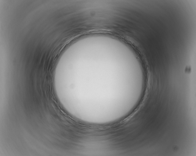 X0000113951161200909250956