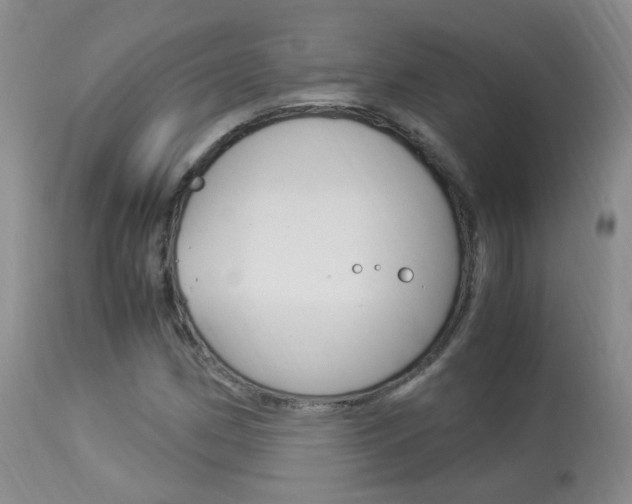 X0000113951162200909250956